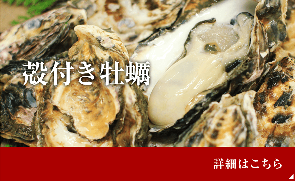 兵庫県網干 姫路で生牡蠣 成寿牡蠣の通販 直売は平成水産へ