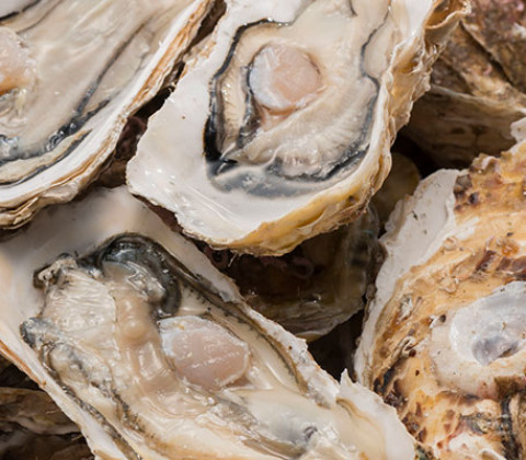 牡蠣をおいしく保存する方法とは？冷蔵・冷凍の保存方法を解説！